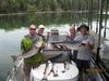 (08/23/2015) - Nice Striped Bass